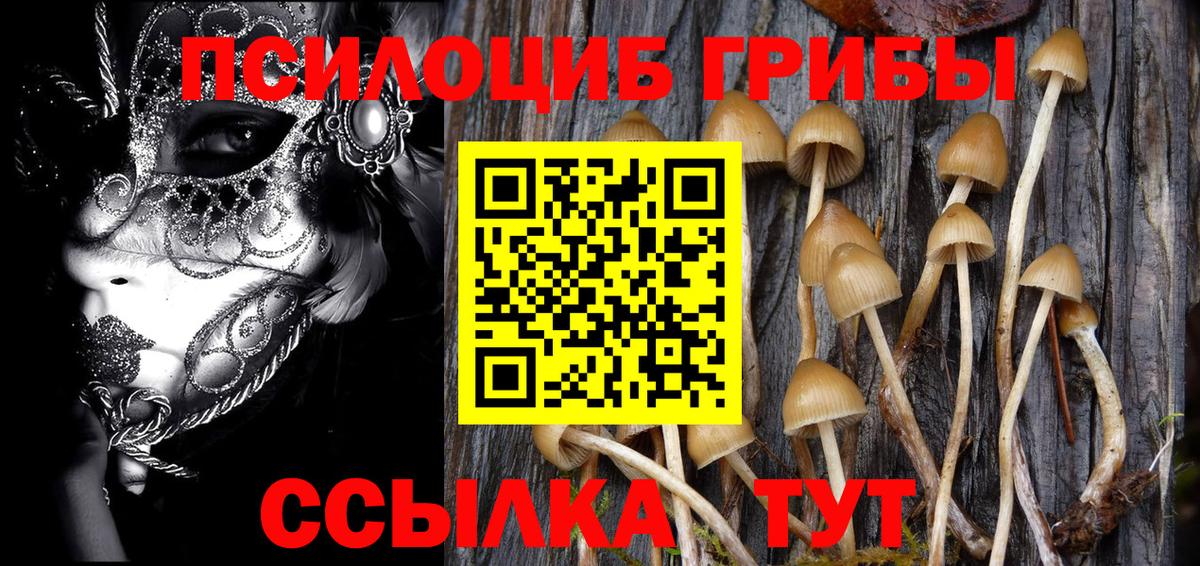 Ртищево  Галлюциногенные грибы Cubensis  Вход с VPN 